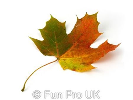 Make Autumn Fairs & Exhibitions Fun with Branded Games